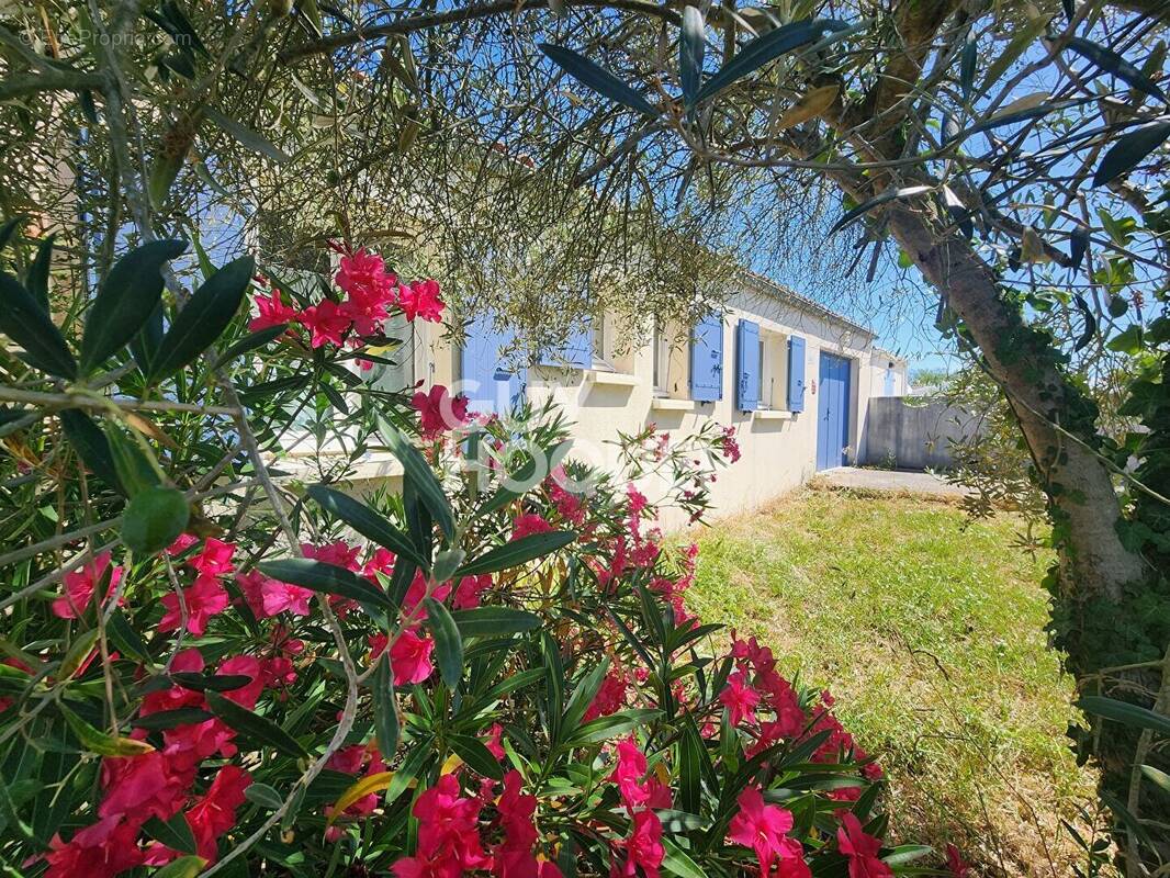 Maison à SAINT-GEORGES-D'OLERON