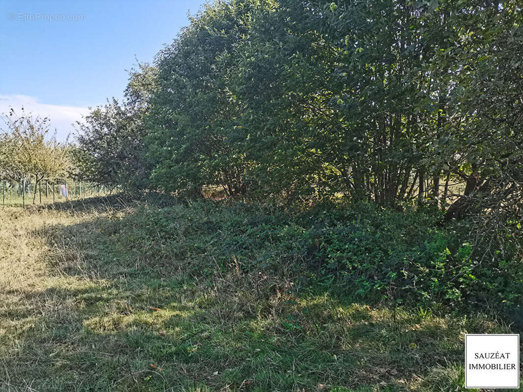 Terrain à MAGNAC-BOURG