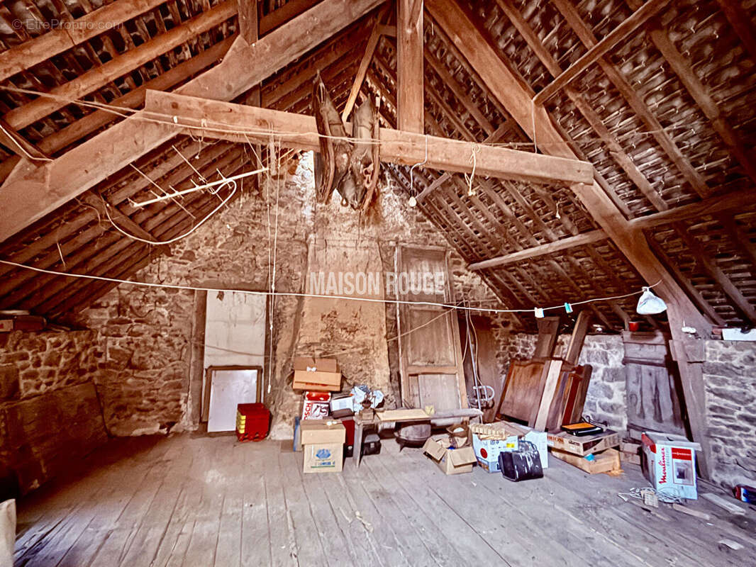 Maison Saint Pere T6 120 M2 avec 400m2 de dépendance - photo 9