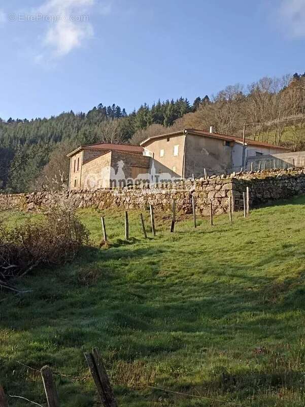Maison à SAINT-FORGEUX