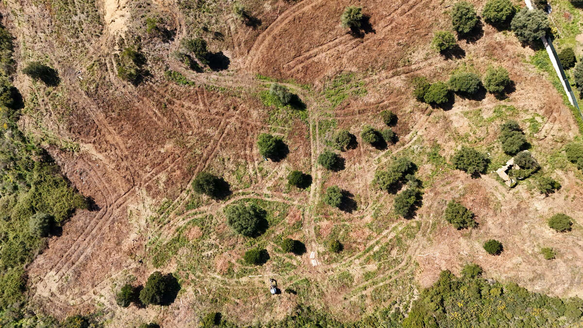 Terrain à CALCATOGGIO
