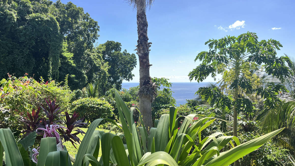 Maison à POINTE-NOIRE