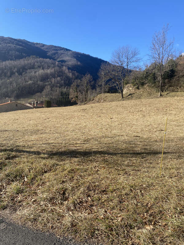 Terrain à PRATS-DE-MOLLO-LA-PRESTE