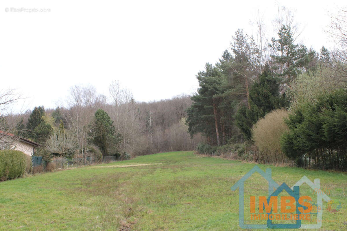 Terrain à EVETTE-SALBERT