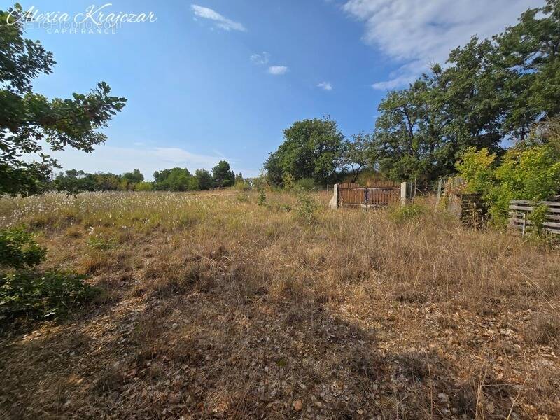 A VENDRE - Terrain Agricole, 4764m² - CORNEILHAN (34) - photo 3