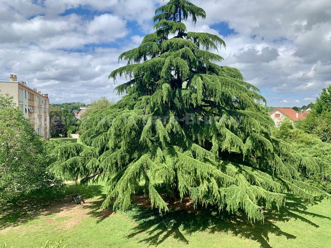 IMG_3040 - Appartement à BRUNOY