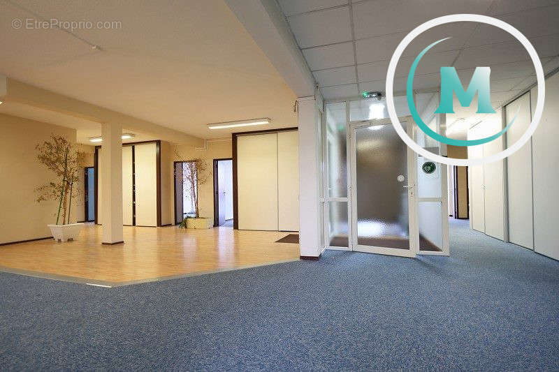 Commerce à MONTAUBAN