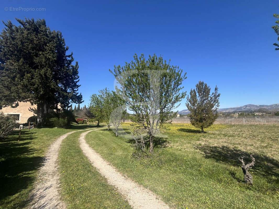 Maison à CARPENTRAS