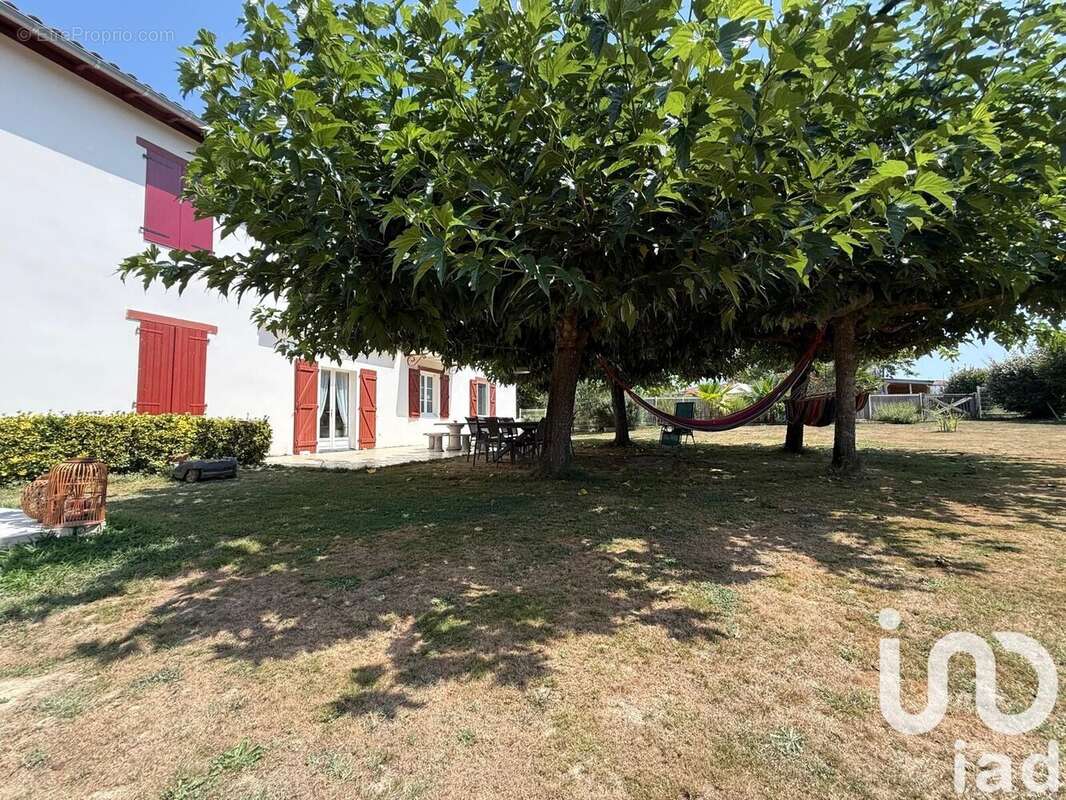 Photo 3 - Maison à SAINT-PALAIS