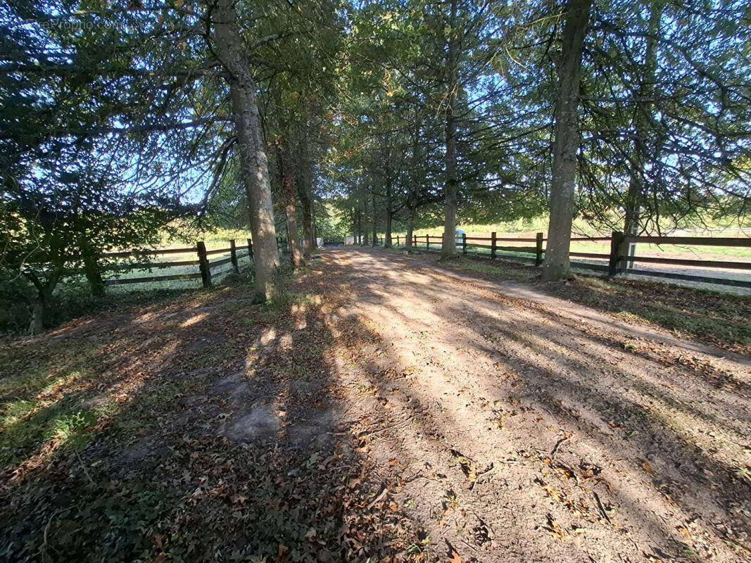 Maison à MORTAGNE-AU-PERCHE