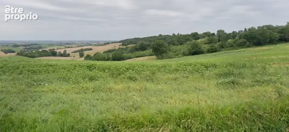 Photo Terrain à Le Castera au prix de 99 000€