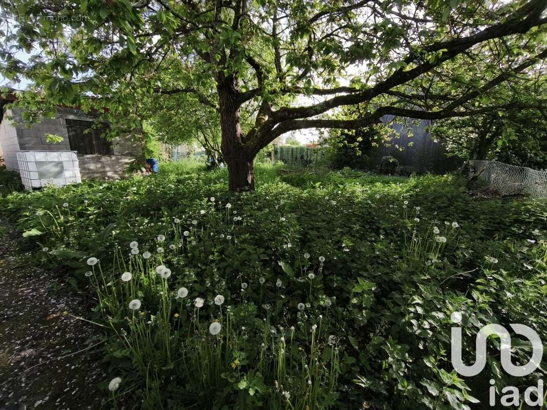 Photo 8 - Appartement à SILLY-LE-LONG