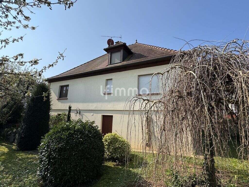 Maison familiale d’architecte 192 m²  Soultz / Haut-Rhin - photo 6