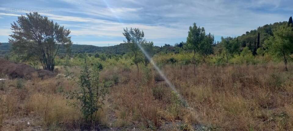 Terrain 631 m² à Azille  - photo 2