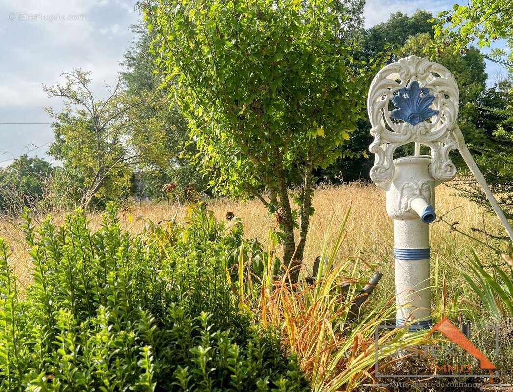 EXCLUSIVITÉ  Ancienne Commingeoise avec jardin clos et arboré - photo 13