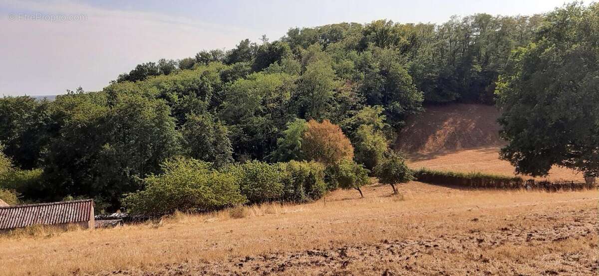 Fermette a rénover avec ses dépendances, sur 2,7 ha de terrain dans cadre bucolique - photo 5