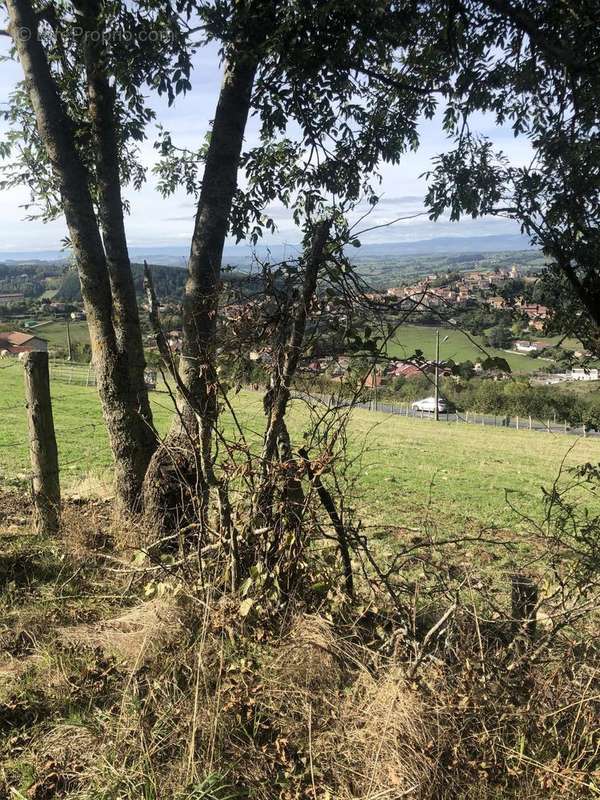 Photo 8 - Terrain à MARNAND