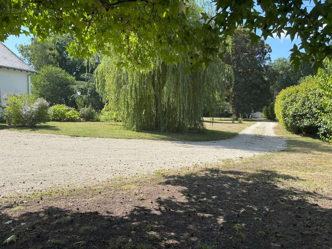 Maison à LA MEMBROLLE-SUR-CHOISILLE