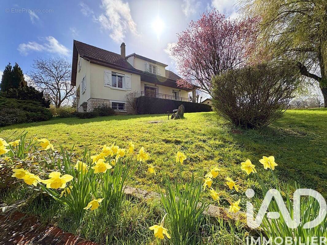 Photo 1 - Maison à TOUCY