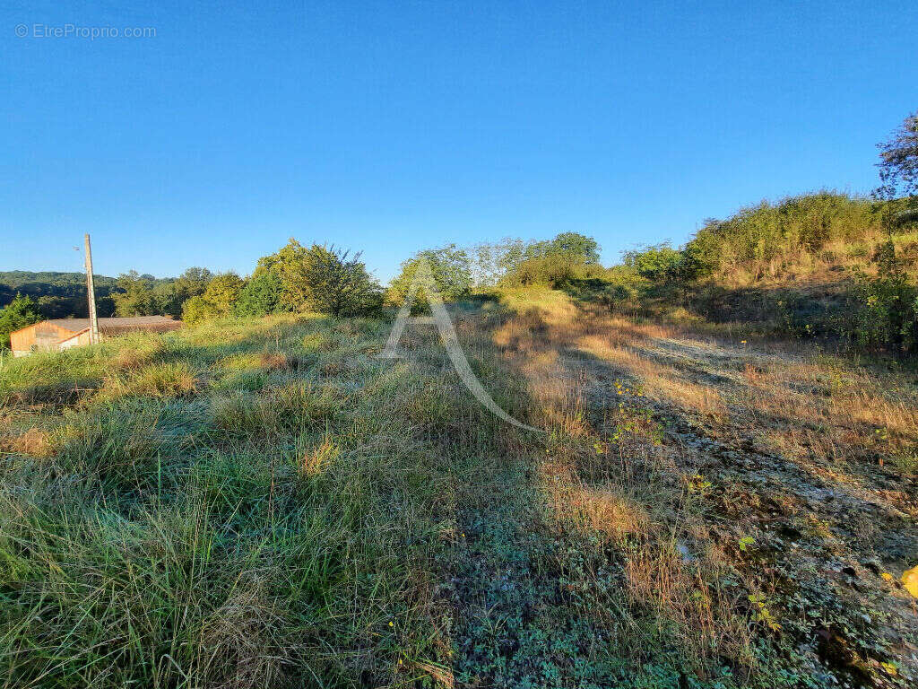 Terrain à batir sur la commune de Monclar De Quercy ! - photo 3