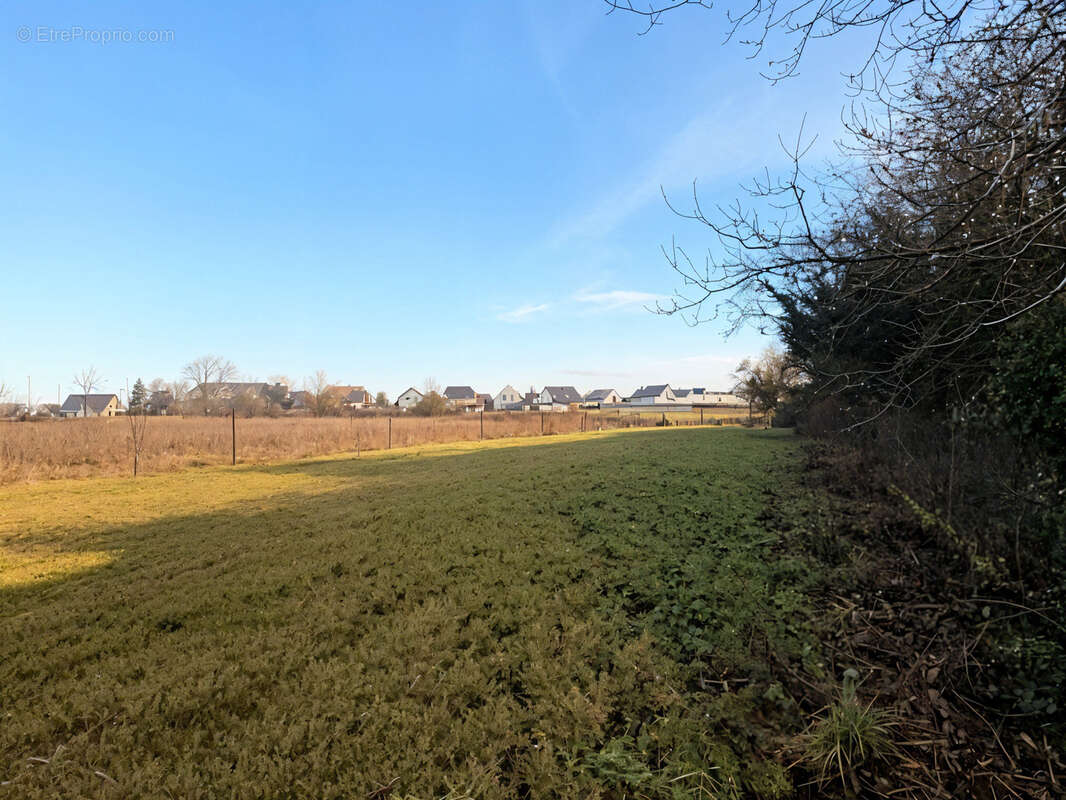 Maison à SESSENHEIM