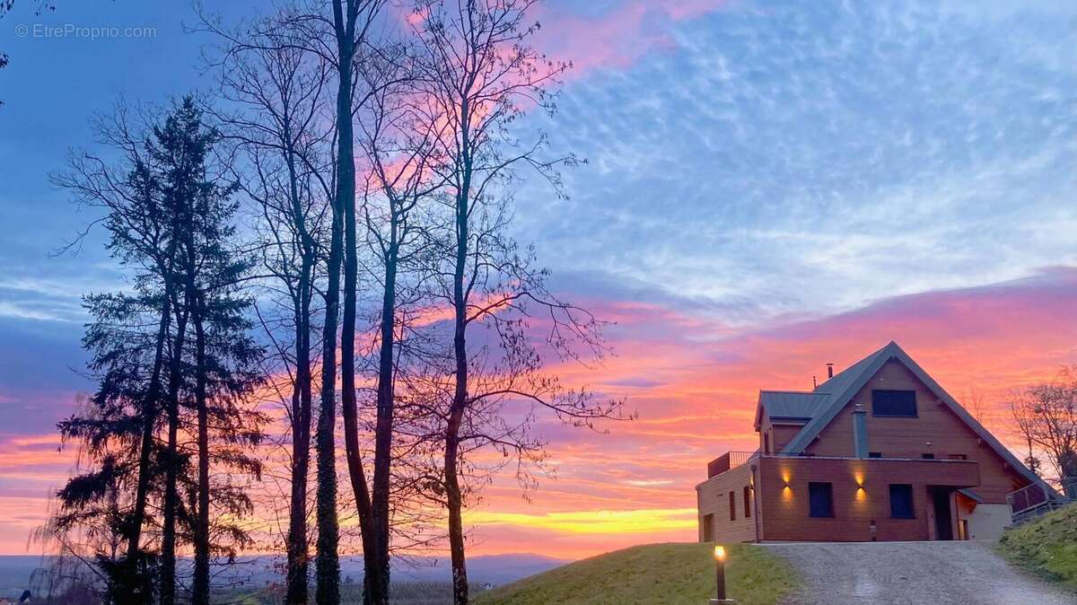 Photo 7 - Maison à RIBEAUVILLE