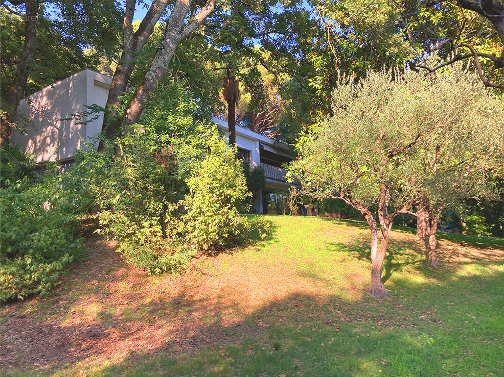 Maison à MONTELIMAR