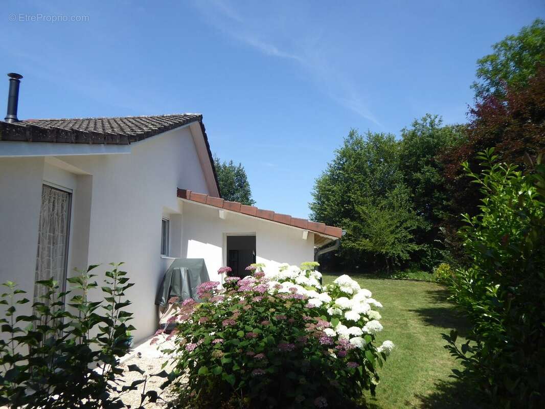 Maison à TREPT
