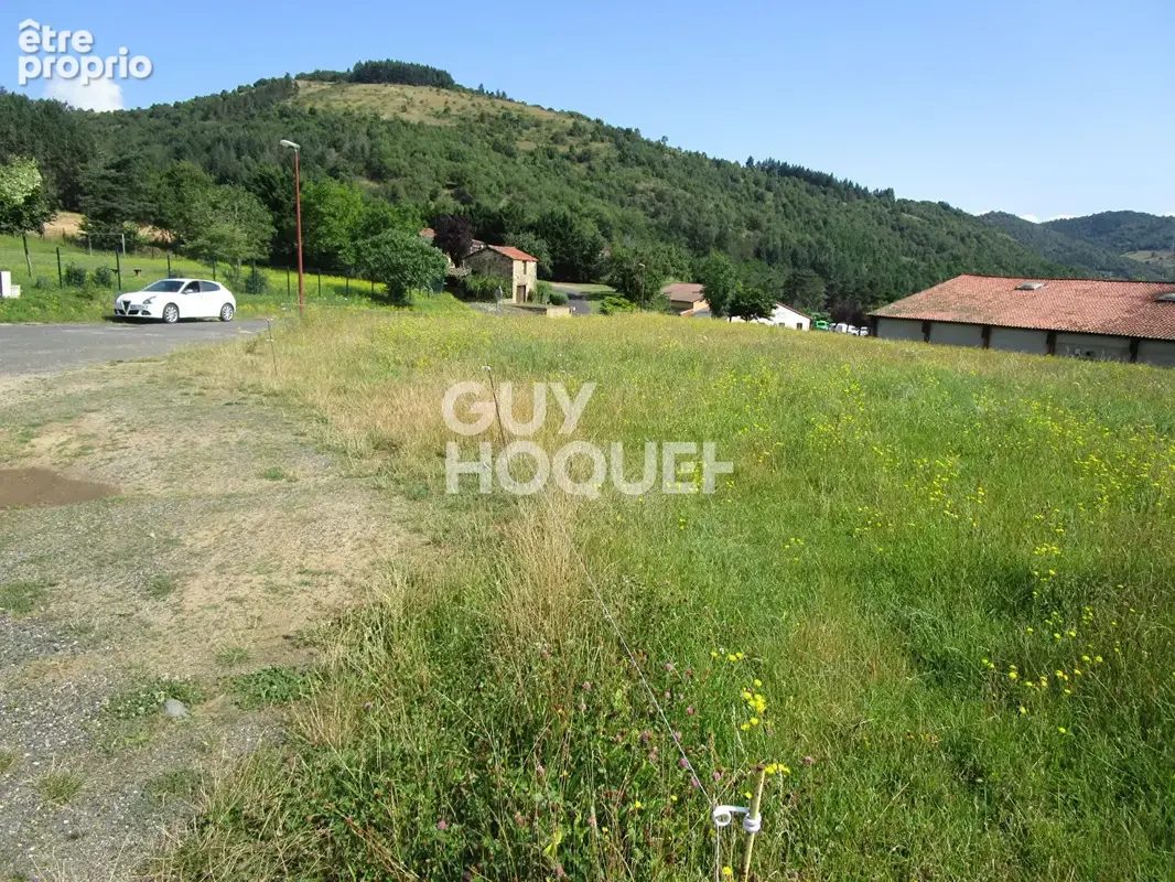 Terrain  Lavoute Chilhac 3745 m2 - photo 2