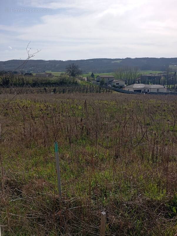 Terrain à ALBON