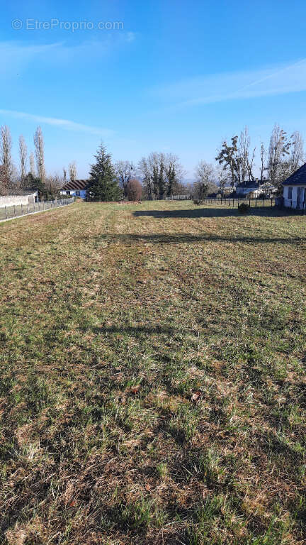 Terrain à TAVANT