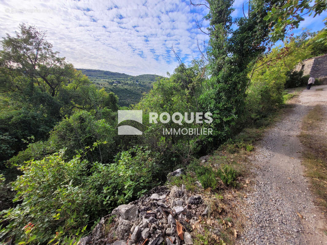 Bedarieux, terrain agricole d' 1 hectare 10 ares 60 centiares. - photo 3