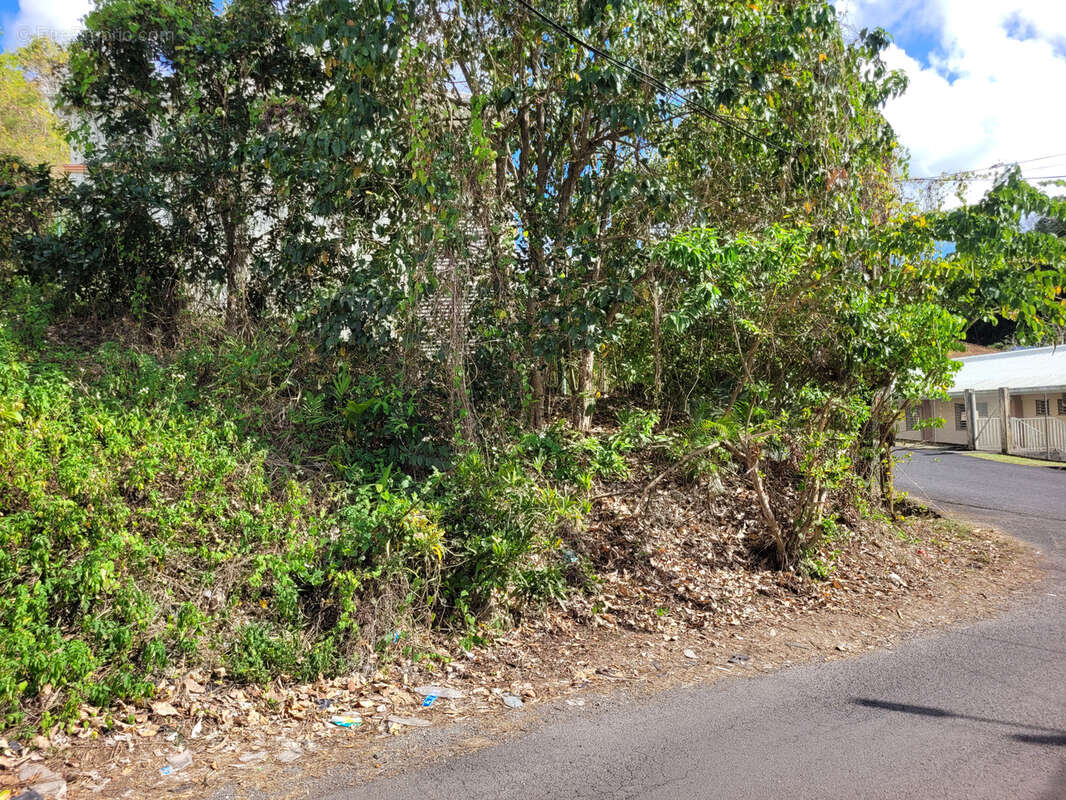 Terrain à LES ABYMES