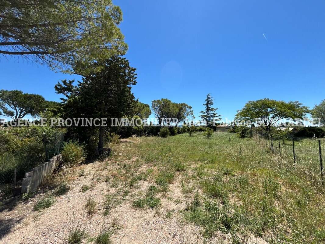 Terrain à SAINTE-CECILE-LES-VIGNES