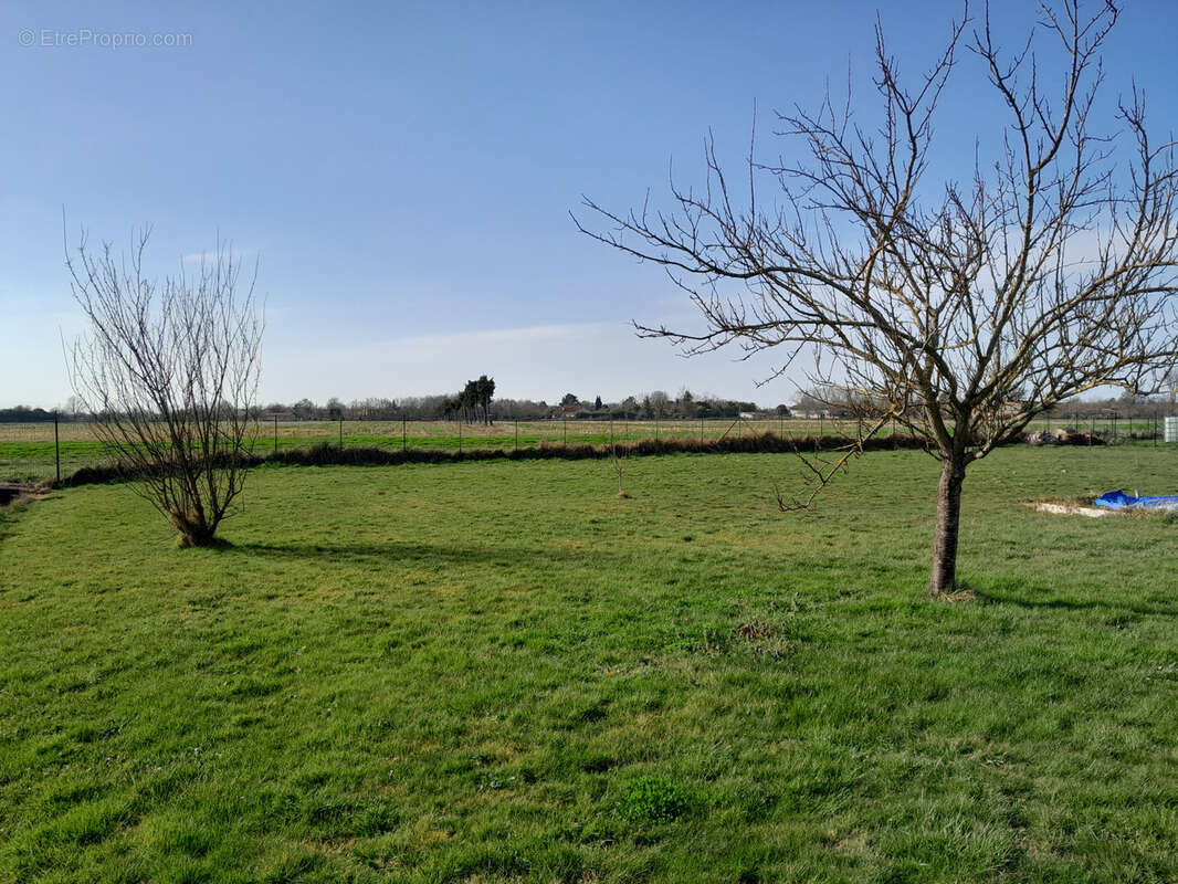 Maison à CASTELSARRASIN