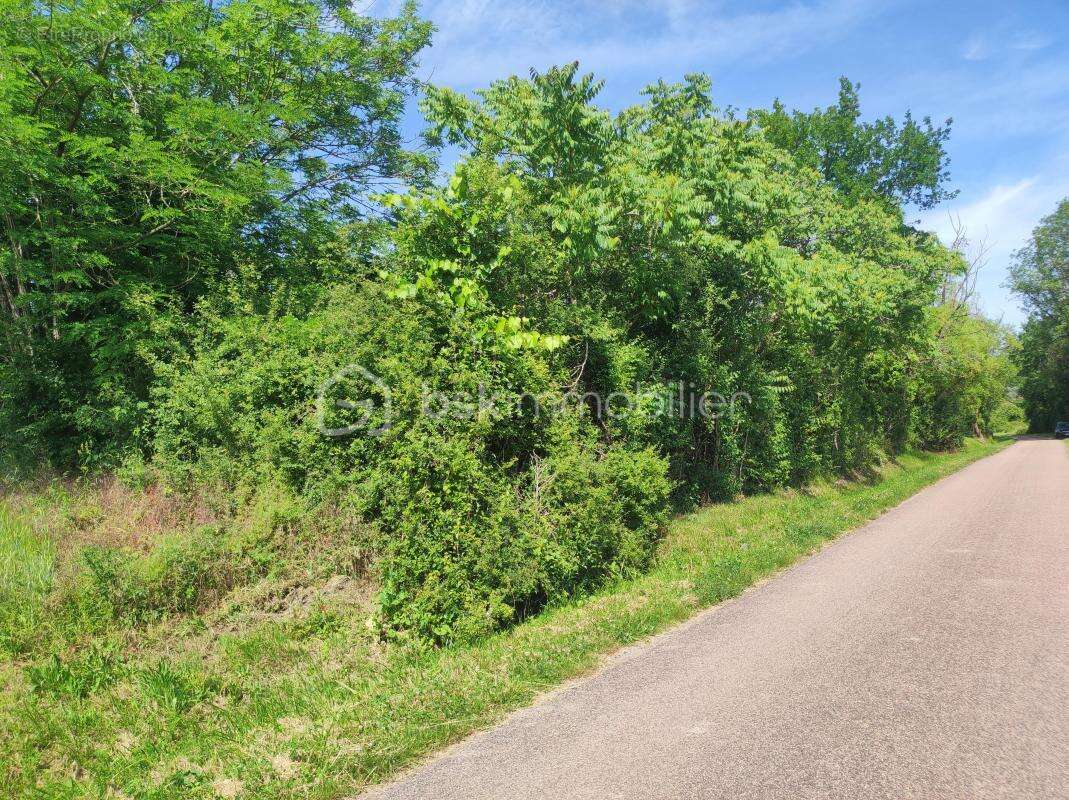 Terrain à SAINT-FLORENTIN