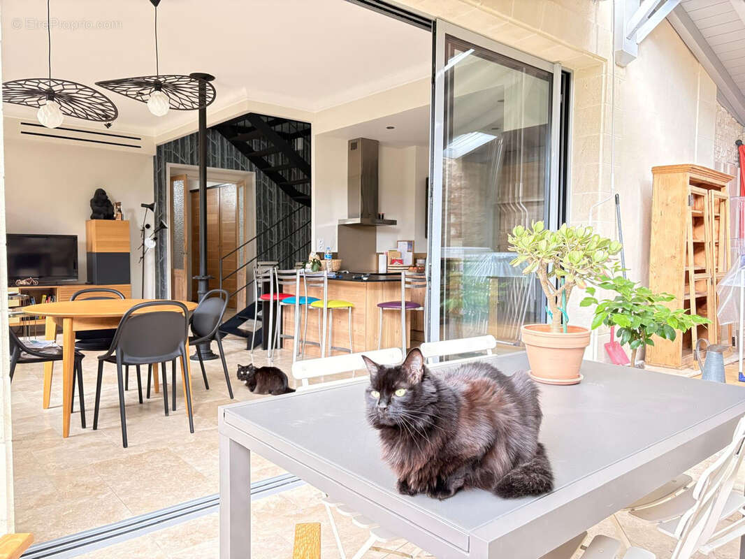 Bordeaux caudéran   maison familiale rénovée   3 chambres - bureau   extérieurs jardin et terrasse - photo 3