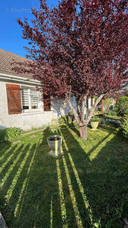 Maison à VINEUIL