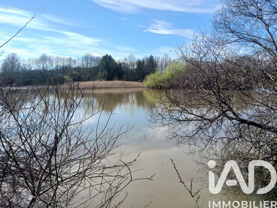 Photo 6 - Terrain à USSON-DU-POITOU