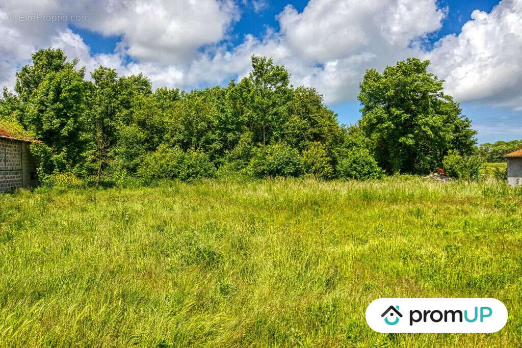 Terrain à OYE-PLAGE