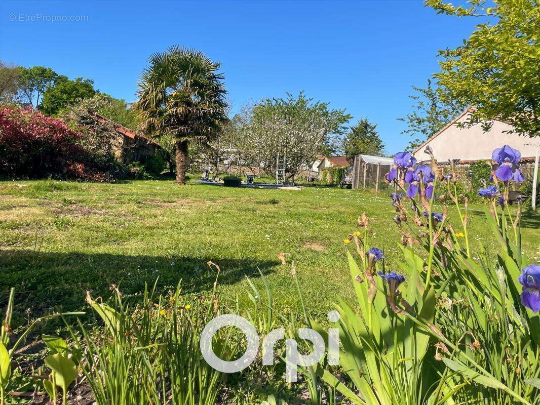 Maison de charme avec grand terrain constructible - photo 12