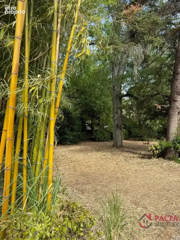 Plateau St Jean - maison individuelle avec grand terrain - photo 20