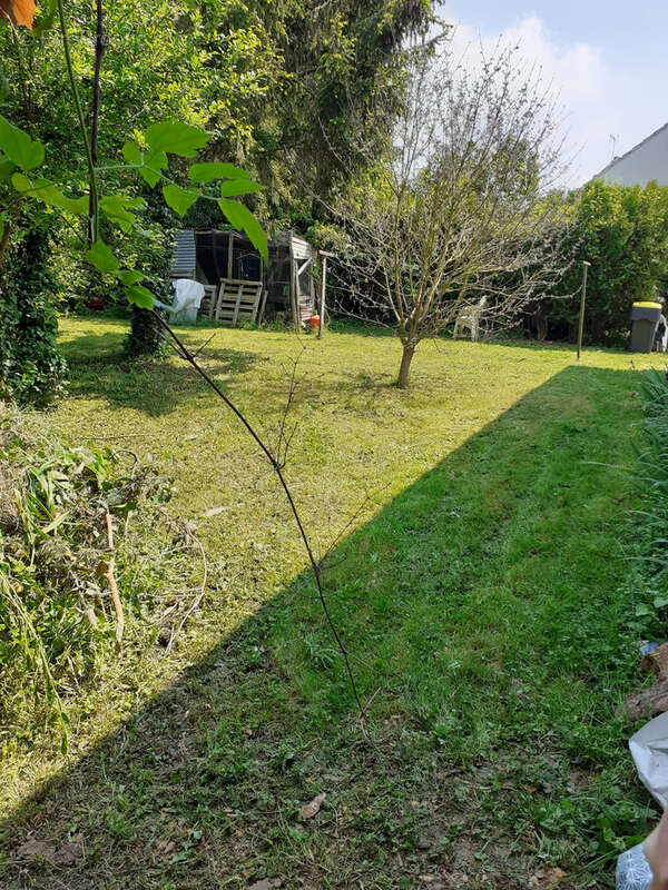 Maison à LA FERTE-GAUCHER