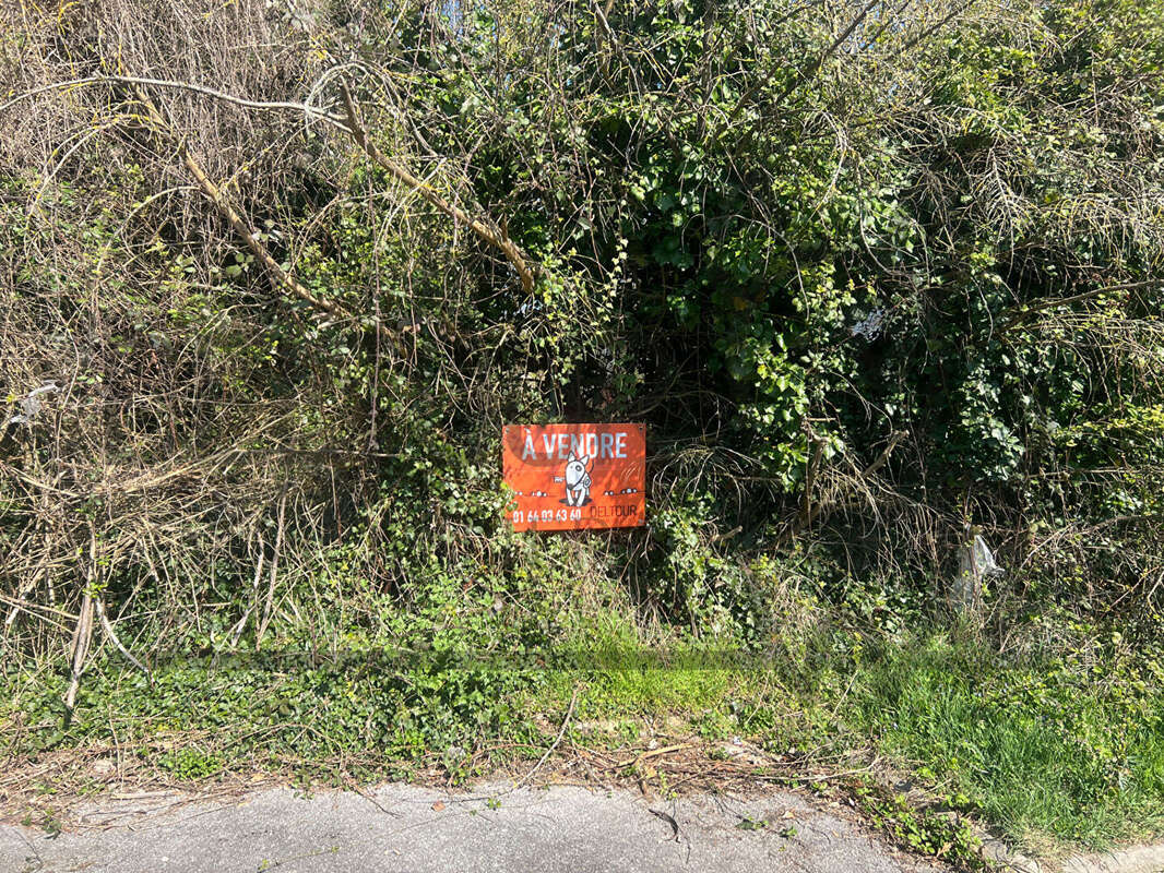 Terrain à BOISSY-LE-CHATEL