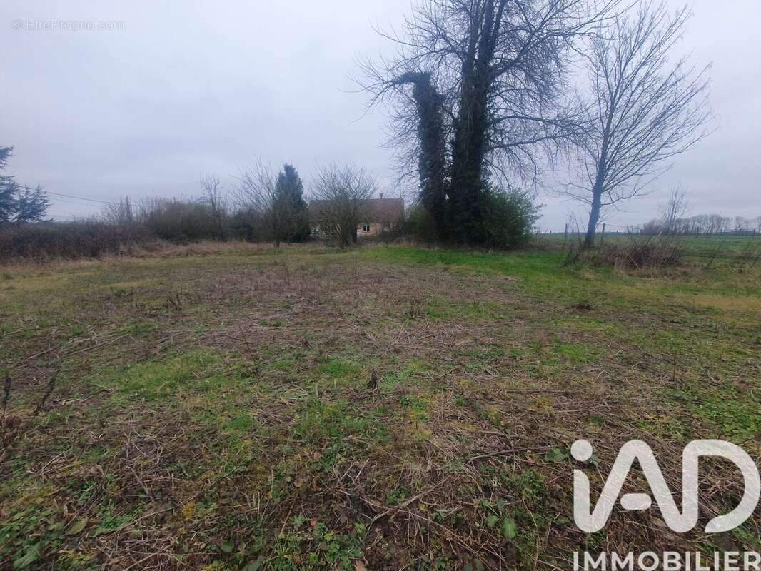Photo 2 - Terrain à BEAUVAL