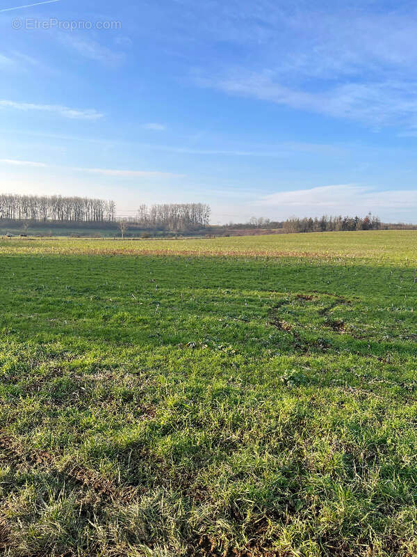 Maison 90 m² à Mont-Bonvillers  - photo 6