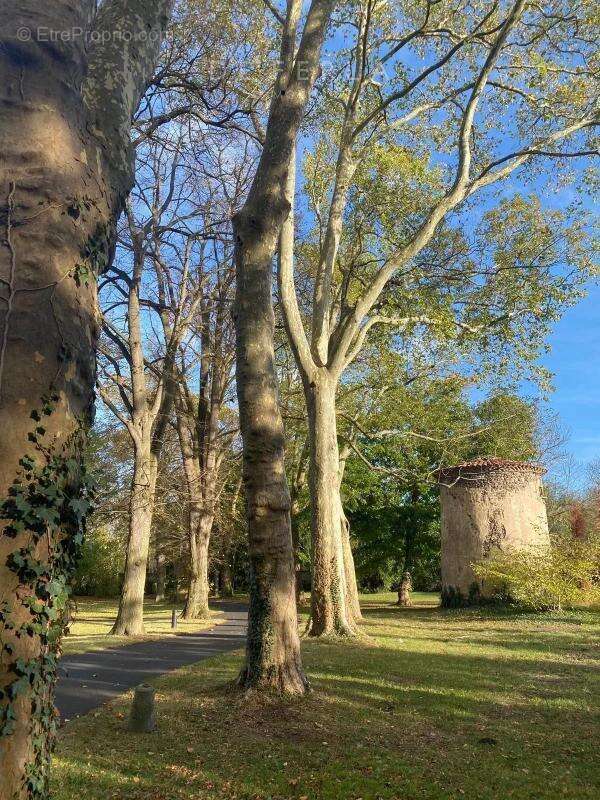 Maison à SAINT-JULIEN-DE-COPPEL