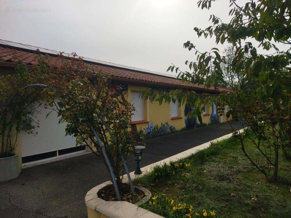 façade - Maison à LALBENQUE