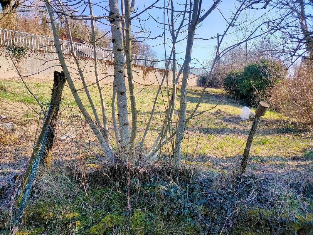 Photo 2 - Terrain à SAINT-THIEBAUD