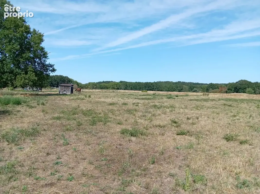 Photo 1 - Terrain à LA GUERCHE-SUR-L'AUBOIS